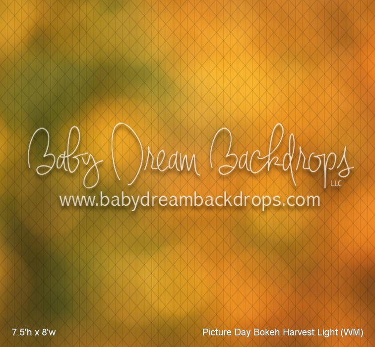 Picture Day Bokeh Harvest Light (WM)
