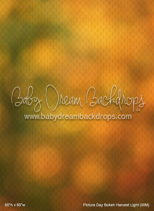 Picture Day Bokeh Harvest Light (WM)