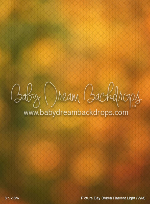 Picture Day Bokeh Harvest Light (WM)