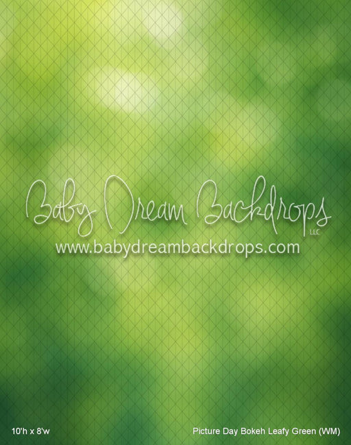 Picture Day Bokeh Leafy Green (WM)