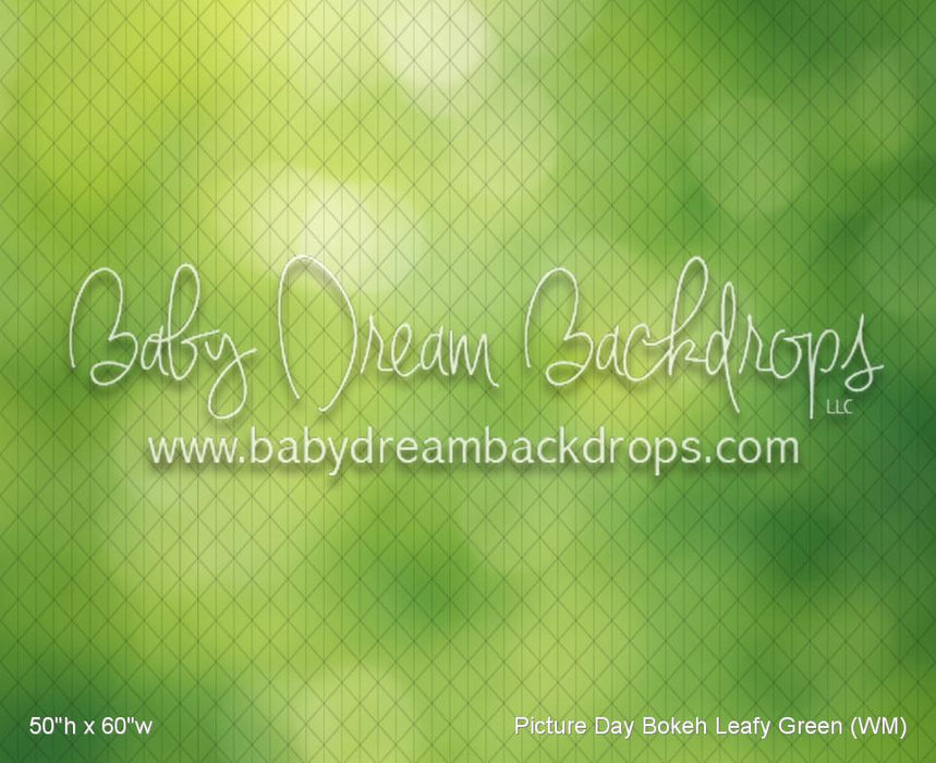 Picture Day Bokeh Leafy Green (WM)