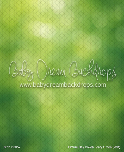 Picture Day Bokeh Leafy Green (WM)