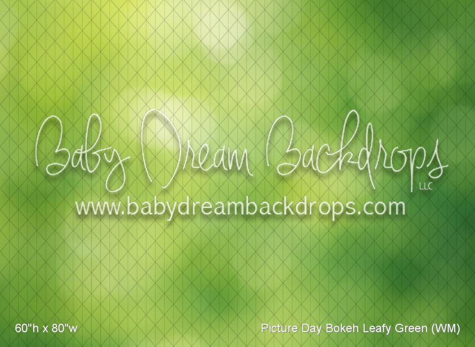 Picture Day Bokeh Leafy Green (WM)