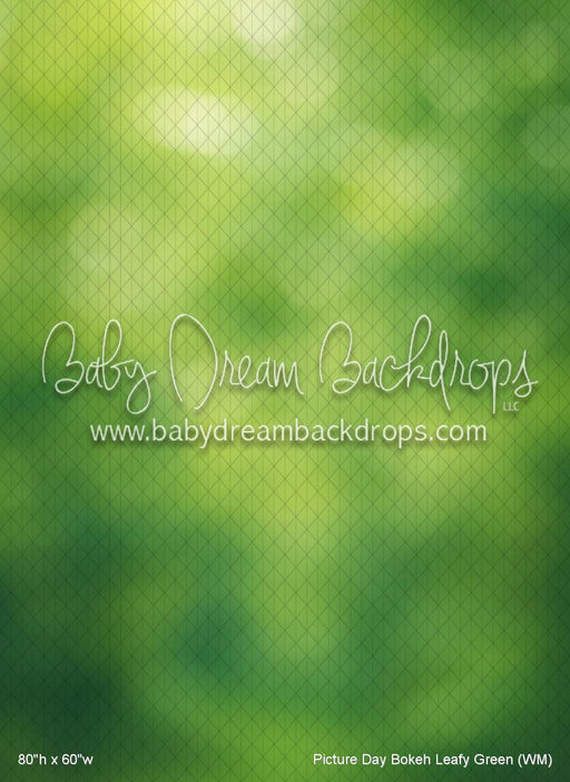 Picture Day Bokeh Leafy Green (WM)