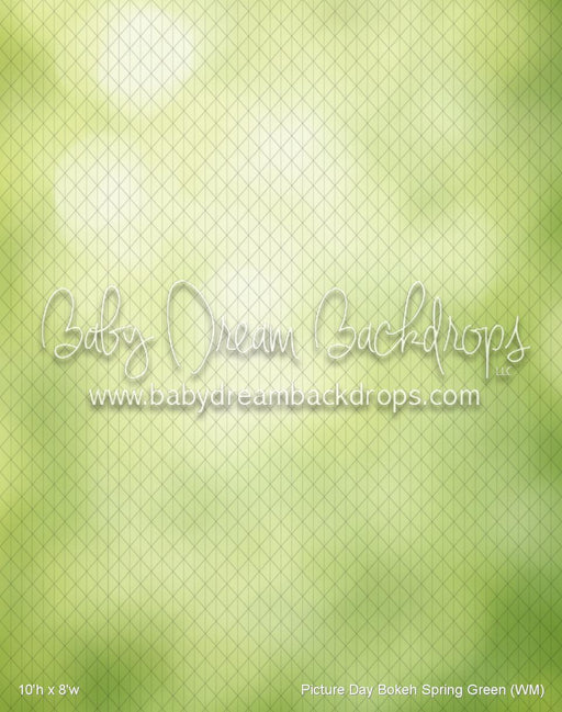 Picture Day Bokeh Spring Green (WM)