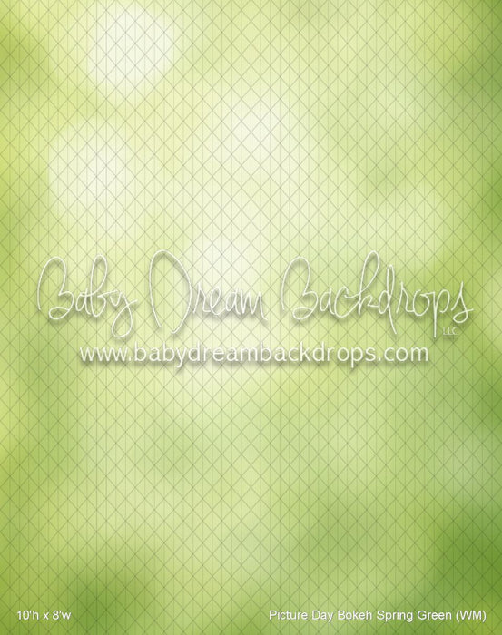 Picture Day Bokeh Spring Green (WM)