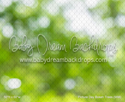 Picture Day Bokeh Trees (WM)