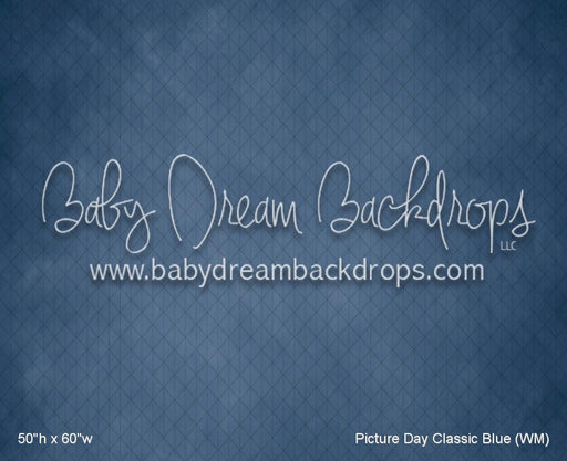 Picture Day Classic Blue (WM)