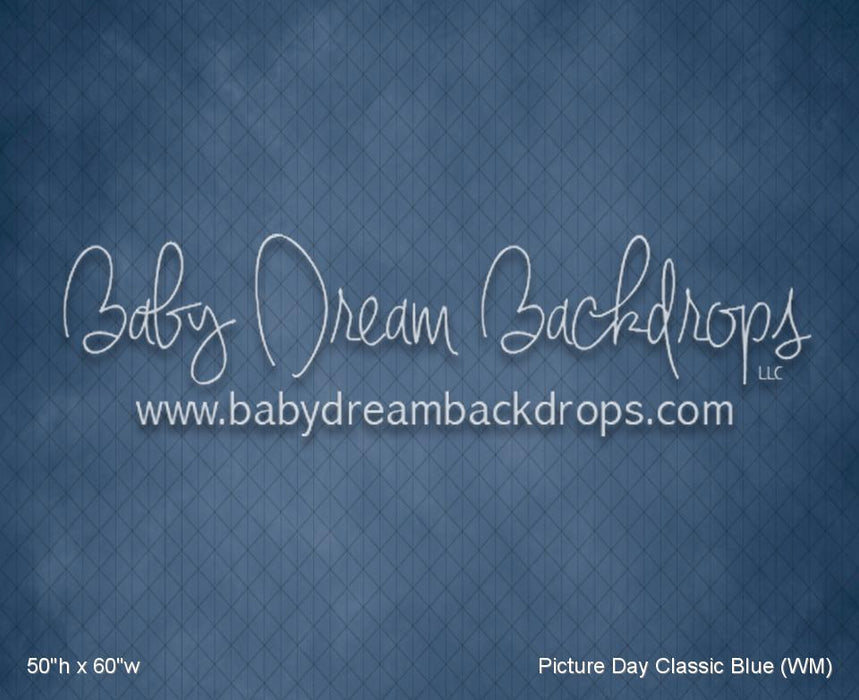 Picture Day Classic Blue (WM)