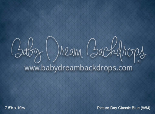 Picture Day Classic Blue (WM)