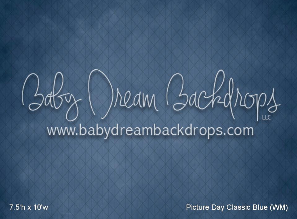 Picture Day Classic Blue (WM)