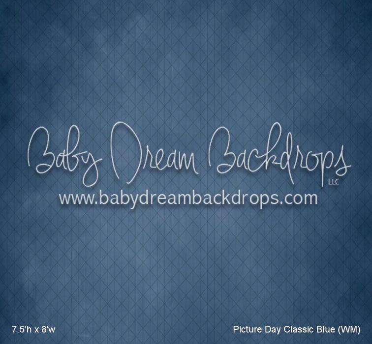 Picture Day Classic Blue (WM)