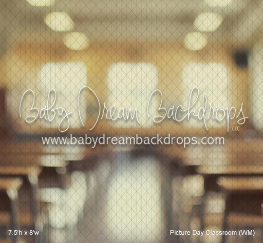 Picture Day Classroom (WM)