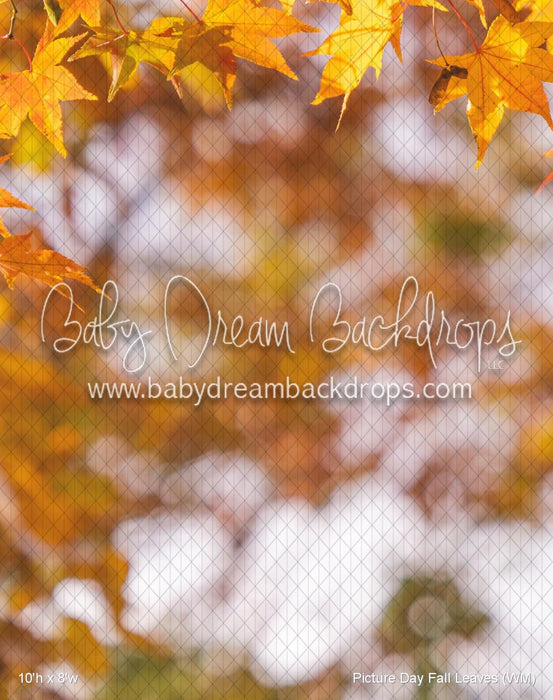 Picture Day Fall Leaves (WM)