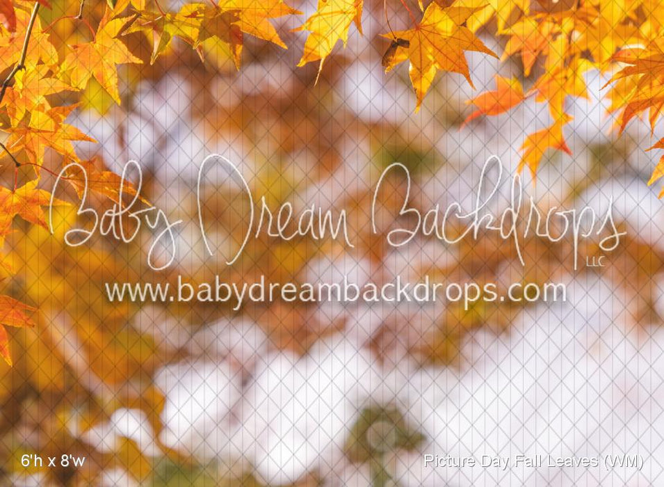 Picture Day Fall Leaves (WM)