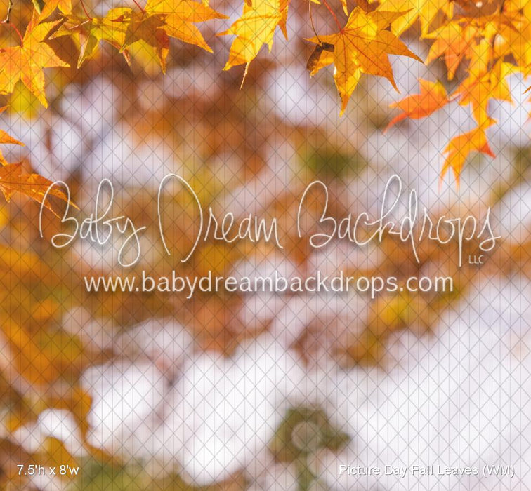 Picture Day Fall Leaves (WM)
