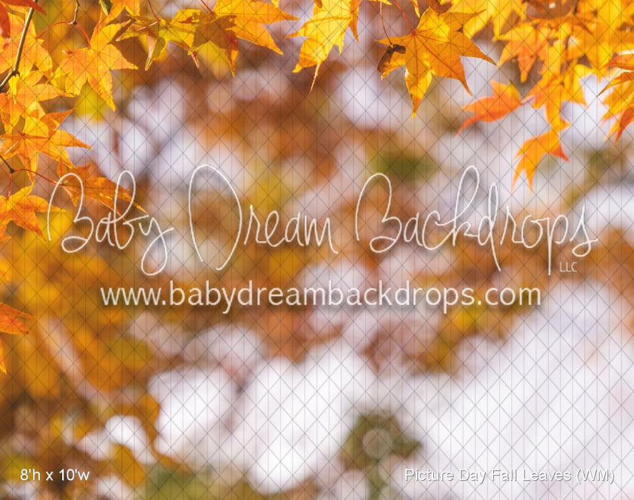 Picture Day Fall Leaves (WM)