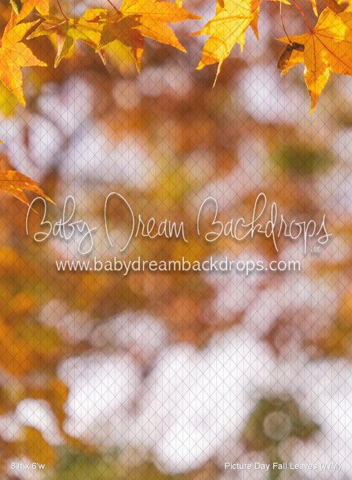 Picture Day Fall Leaves (WM)