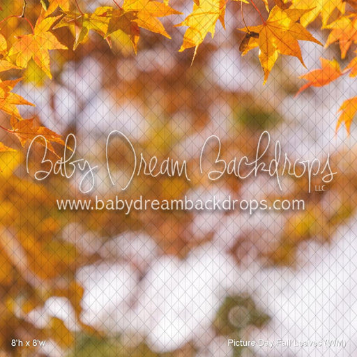 Picture Day Fall Leaves (WM)