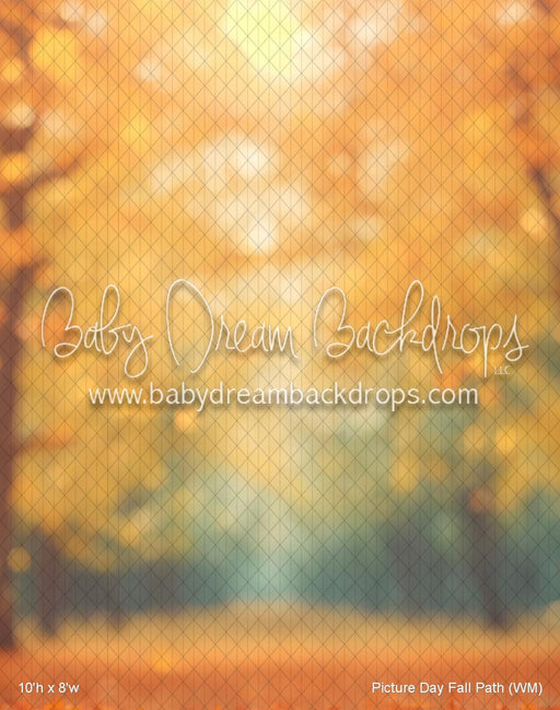 Picture Day Fall Path (WM)