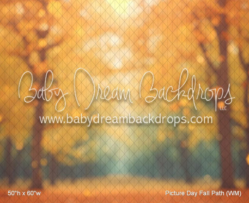 Picture Day Fall Path (WM)