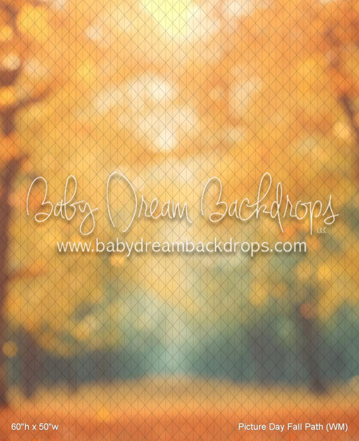 Picture Day Fall Path (WM)