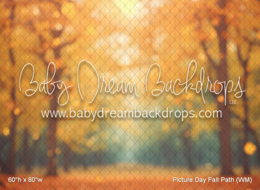 Picture Day Fall Path (WM)