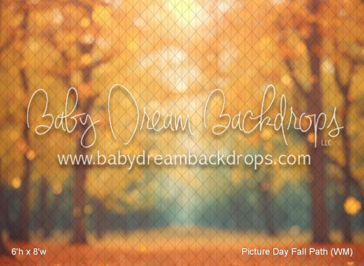 Picture Day Fall Path (WM)