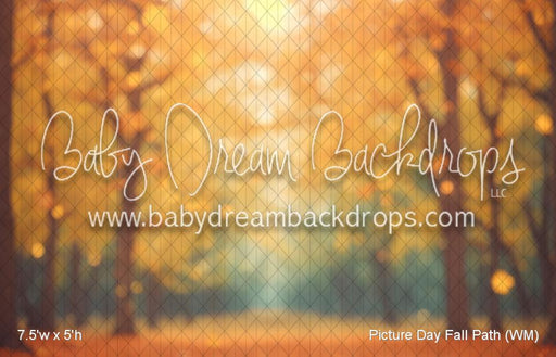 Picture Day Fall Path (WM)