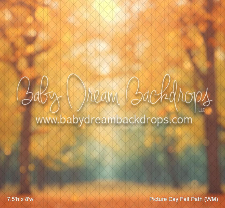 Picture Day Fall Path (WM)