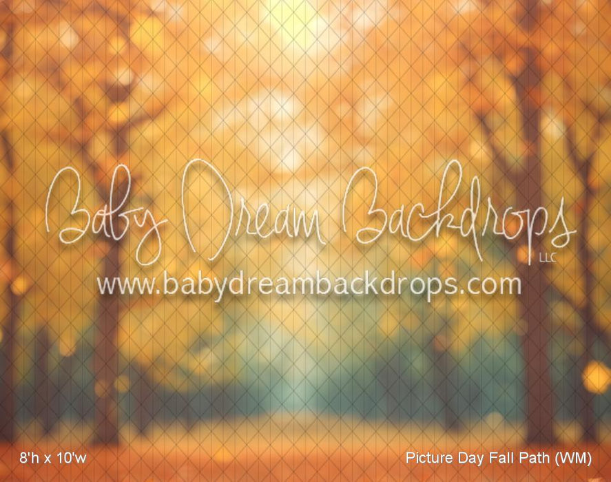 Picture Day Fall Path (WM)