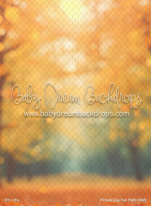 Picture Day Fall Path (WM)