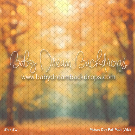 Picture Day Fall Path (WM)