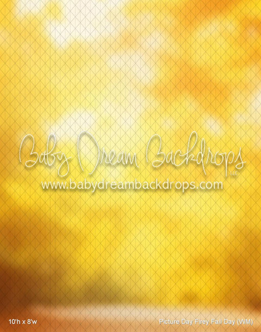 Picture Day Firey Fall Day (WM)