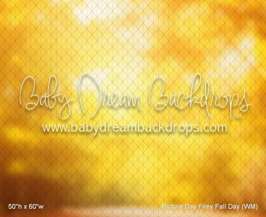 Picture Day Firey Fall Day (WM)