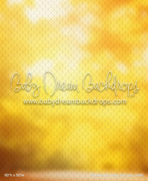 Picture Day Firey Fall Day (WM)