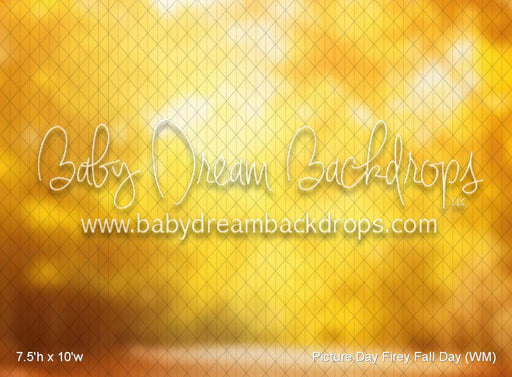 Picture Day Firey Fall Day (WM)