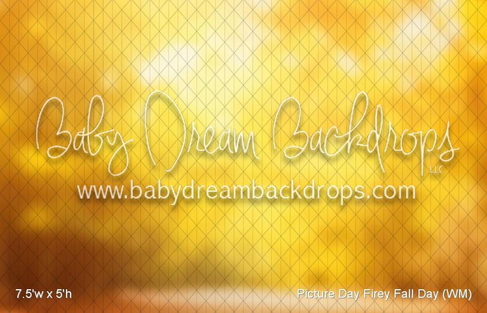 Picture Day Firey Fall Day (WM)