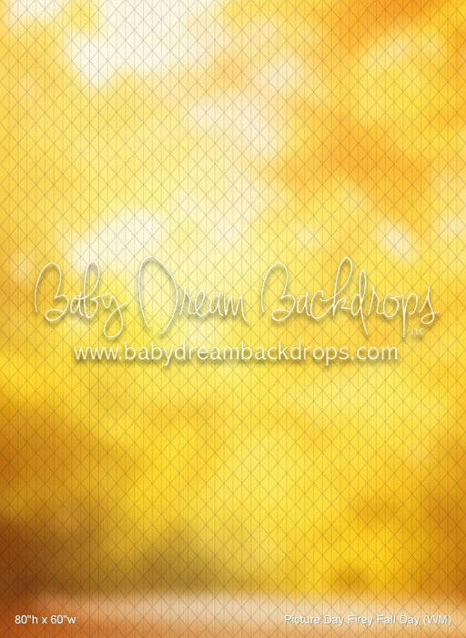 Picture Day Firey Fall Day (WM)