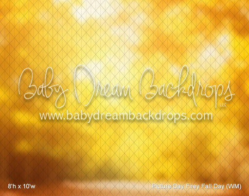 Picture Day Firey Fall Day (WM)