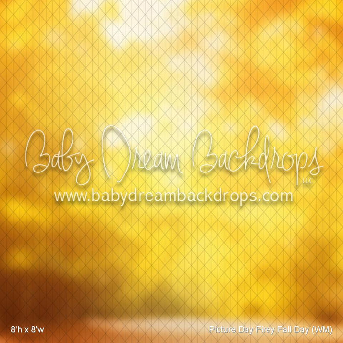 Picture Day Firey Fall Day (WM)