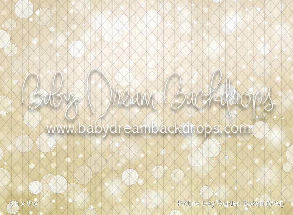 Picture Day Golden Bokeh (WM)