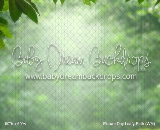 Picture Day Leafy Path (WM)