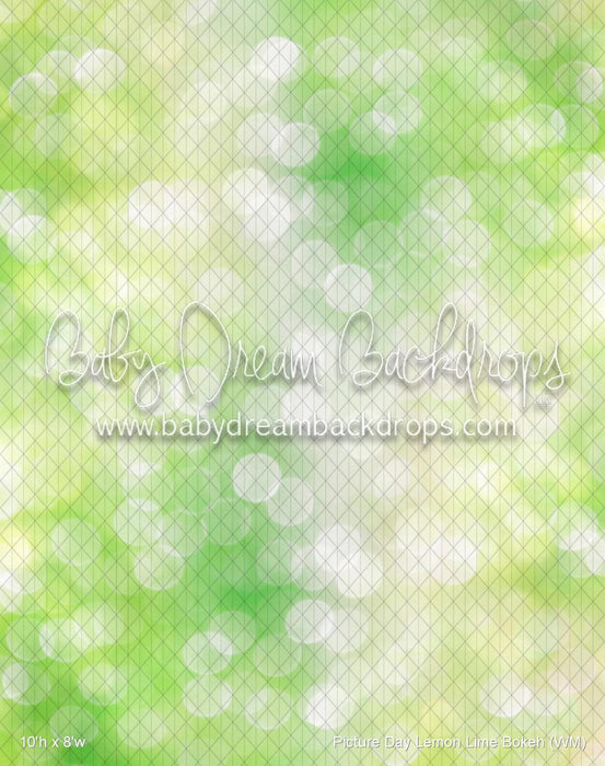 Picture Day Lemon Lime Bokeh (WM)