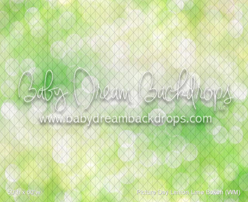 Picture Day Lemon Lime Bokeh (WM)