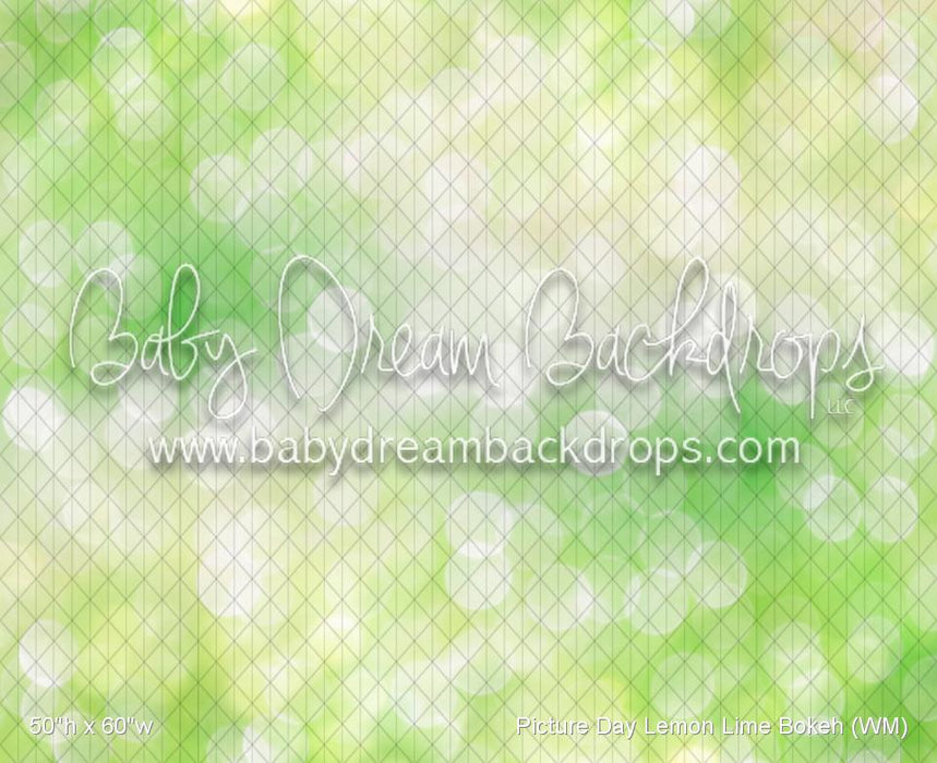 Picture Day Lemon Lime Bokeh (WM)