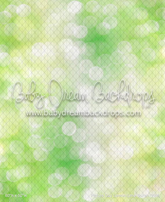 Picture Day Lemon Lime Bokeh (WM)