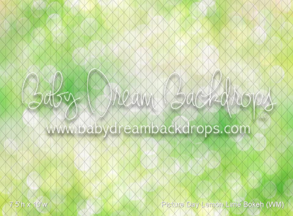 Picture Day Lemon Lime Bokeh (WM)