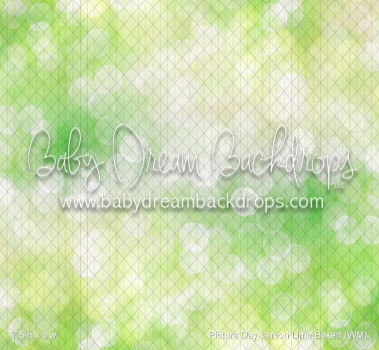 Picture Day Lemon Lime Bokeh (WM)