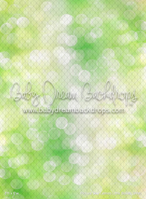 Picture Day Lemon Lime Bokeh (WM)